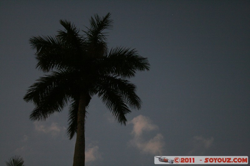 Vinales
Mots-clés: CUB Cuba geo:lat=22.61651655 geo:lon=-83.70909333 geotagged Nuit Palmier Arbres