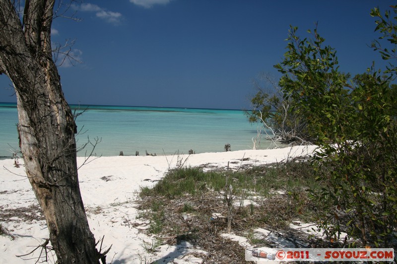 Cayo Jutias
Mots-clés: CUB Cuba geo:lat=22.69608509 geo:lon=-84.05485670 geotagged Sitio Abajo mer plage
