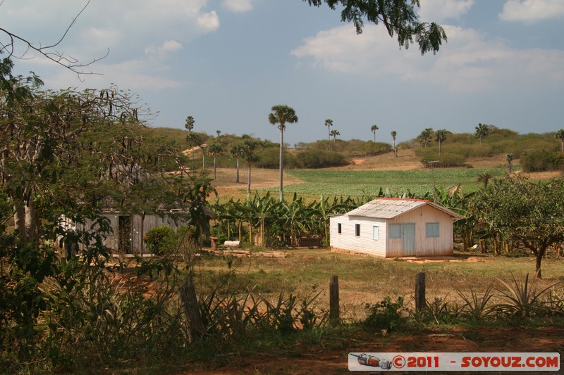 Valle de Vinales
Mots-clés: CUB Cuba geo:lat=22.71438078 geo:lon=-83.82310230 geotagged Pinar del RÃ­o Sitio Morales