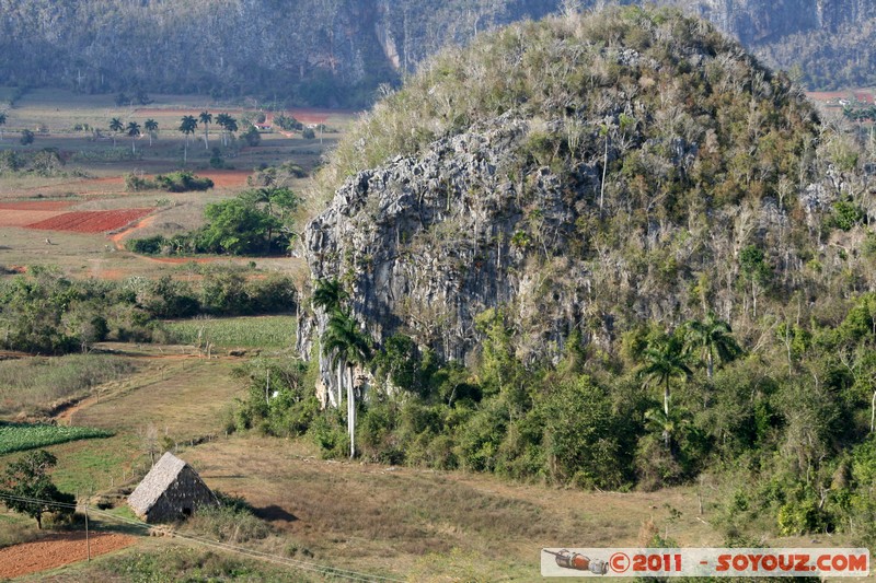 Valle de Vinales - Mirador de los Jazmines
Mots-clés: CUB Cuba geo:lat=22.59631631 geo:lon=-83.72365236 geotagged La Feita patrimoine unesco
