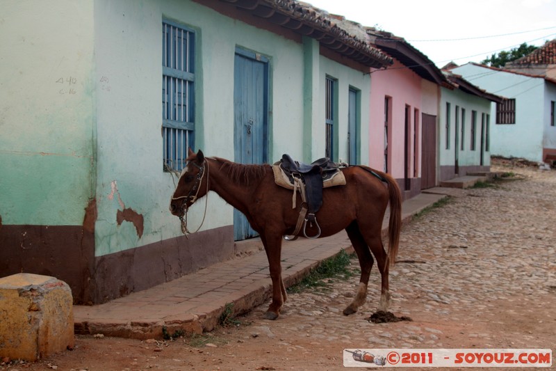 Trinidad - Calle Amargura
Mots-clés: CUB Cuba geo:lat=21.80312586 geo:lon=-79.97945804 geotagged Trinidad Sancti Sp&Atilde;&shy;ritus patrimoine unesco Colonial Espagnol animals cheval