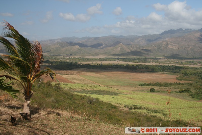 Valle de los Ingenios - Mirador de Loma del Puerto
Mots-clés: CUB Cuba geo:lat=21.81129872 geo:lon=-79.94626966 geotagged Sabanilla Sancti Sp&Atilde;&shy;ritus patrimoine unesco paysage