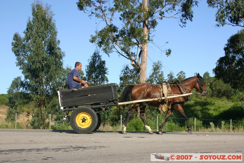 Voiture à cheval
