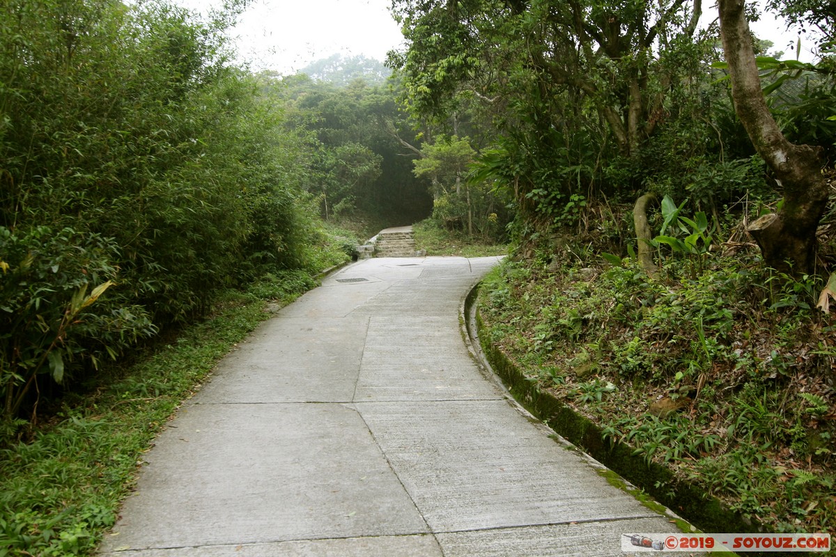 Hong Kong - Victoria Peak
Mots-clés: Central and Western geo:lat=22.27466333 geo:lon=114.14547367 geotagged HKG Hong Kong Sheung Wan