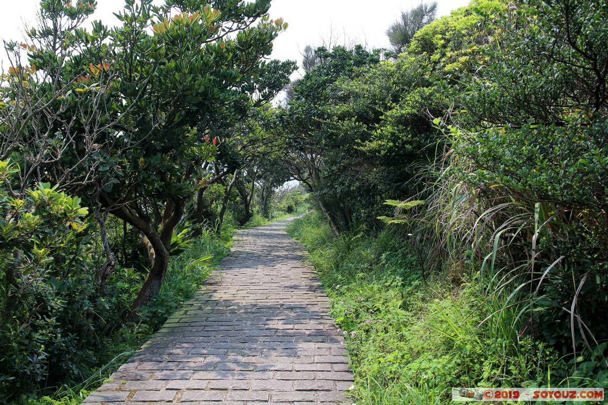 Wanli - Yehliu Geopark
Mots-clés: geo:lat=25.21078807 geo:lon=121.69514861 geotagged Taipeh Taiwan TWN Yeliu New Taipei Wanli District Yehliu Geopark