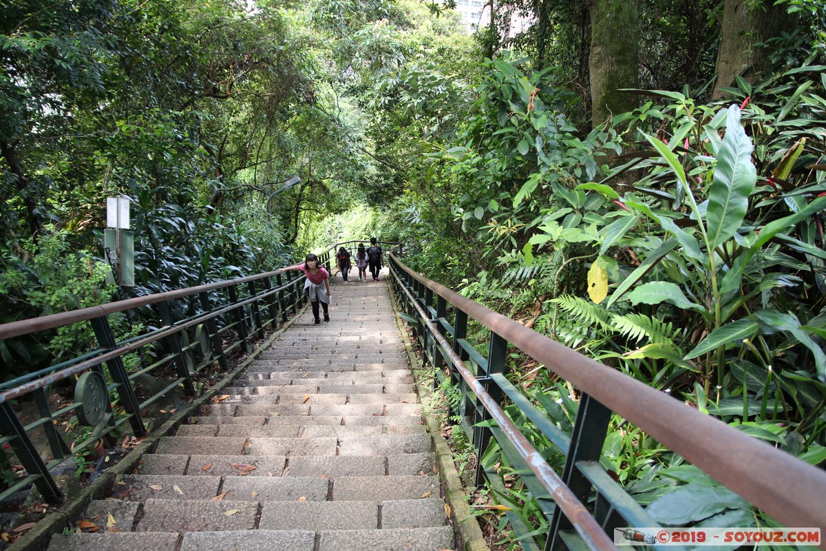 Taipei - Xiangshan Trail
Mots-clés: geo:lat=25.02712583 geo:lon=121.57239667 geotagged Jiupokou Taiwan TWN Taipei New Taipei Xiangshan Trail Elephant Mountain