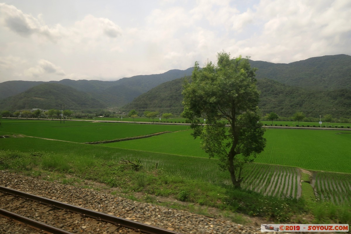 Hualien County
Mots-clés: Fuli geo:lat=23.18060750 geo:lon=121.24914639 geotagged Taiwan TWN Hualien County