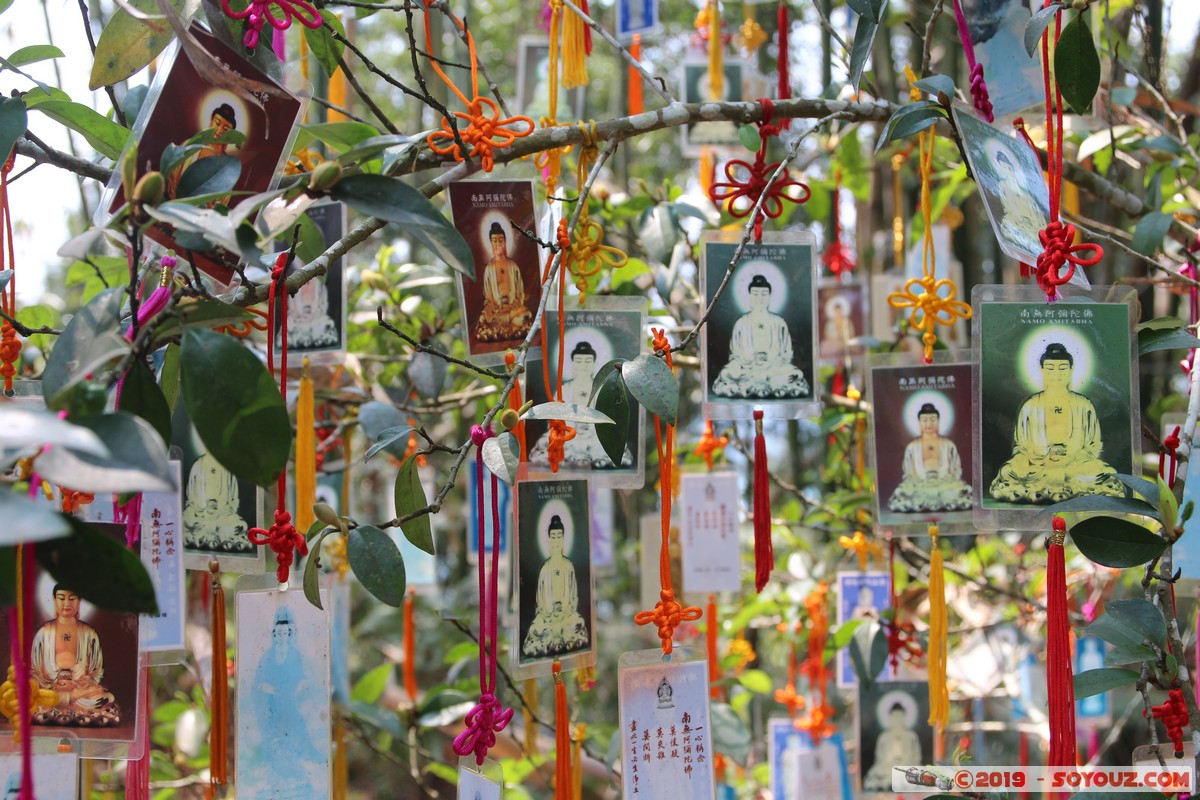 Sun Moon Lake - Xuanguang Temple
Mots-clés: geo:lat=23.84824389 geo:lon=120.91417389 geotagged Shiyin Taiwan TWN Nantou County Sun Moon Lake Xuanguang Temple Boudhiste