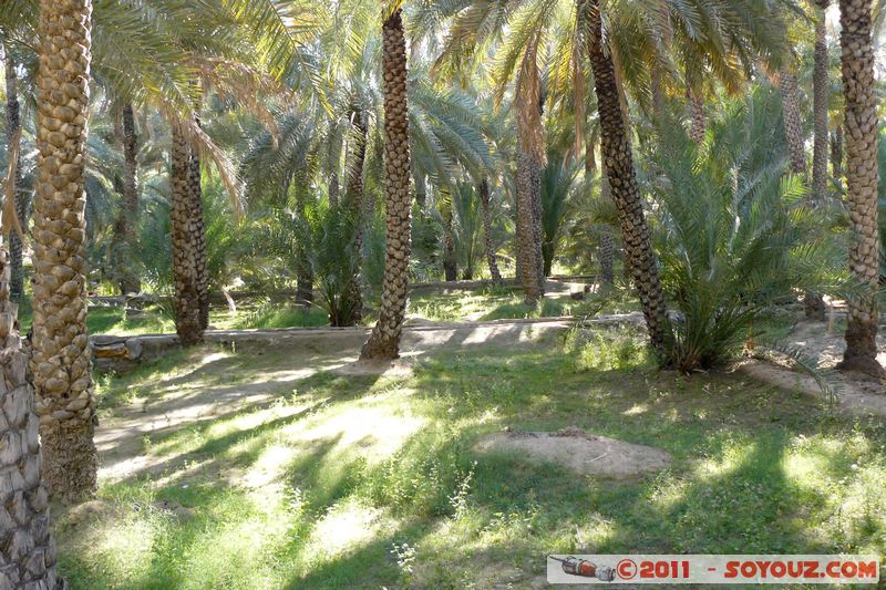 Al Ain Oasis
Mots-clés: geo:lat=24.21753951 geo:lon=55.77280090 mirats Arabes Unis UAE United Arab Emirates Parc Palmier Arbres Al-Ain Oasis