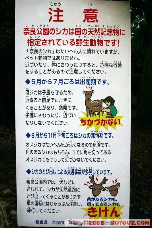 Affiches japonaises
Mots-clés: Affiche