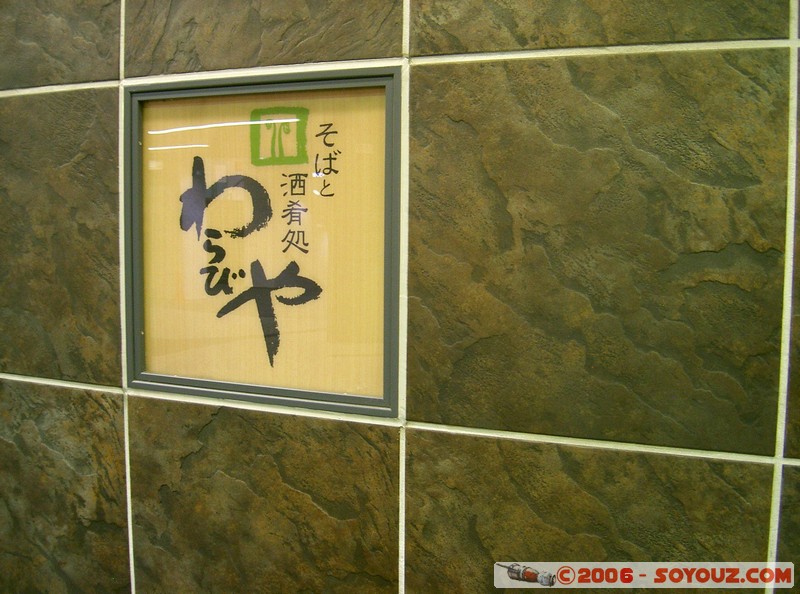 Shinjuku train station
