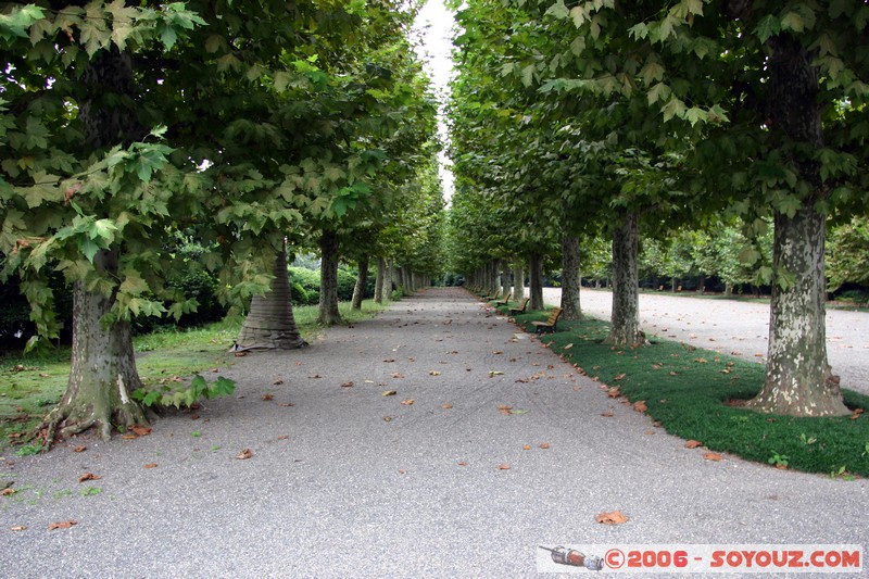 Shinjuku Gyoen National Garden
