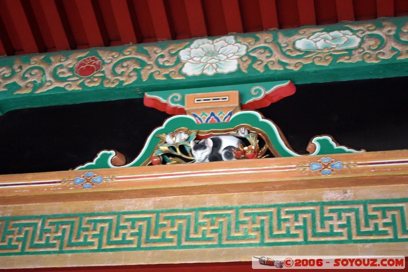 Toshogu Shrine - sleeping cat
