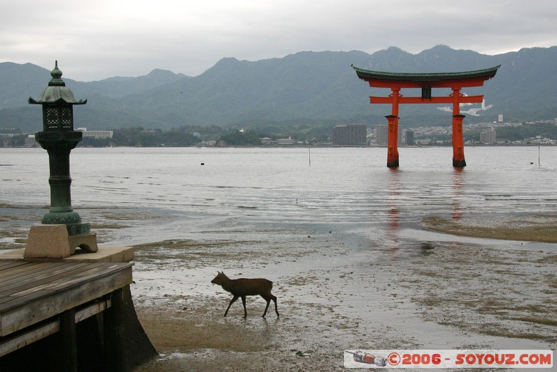 O-torii gate
Mots-clés: patrimoine unesco