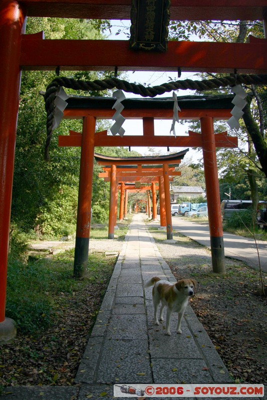 Gate on Mt. Yoshida-yama
