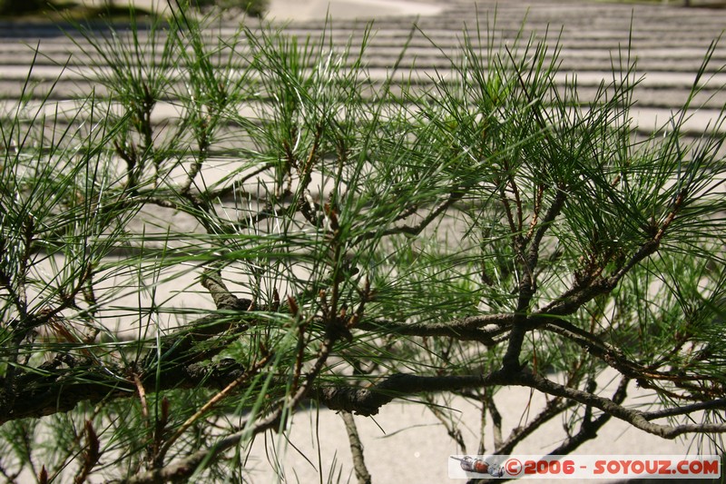 Ginkaku Temple
Mots-clés: patrimoine unesco