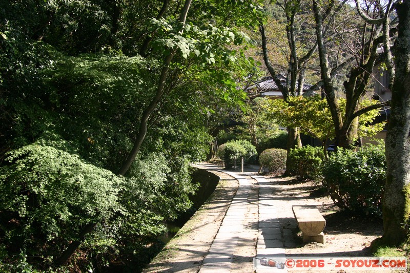 The Philosopher's Walk
