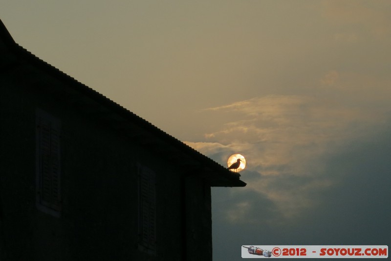 Porec - Dr. Ante Sonje obala
Mots-clés: Croatie geo:lat=45.22900943 geo:lon=13.59347324 geotagged HRV Istarska Pore oiseau Insolite Lumiere soleil