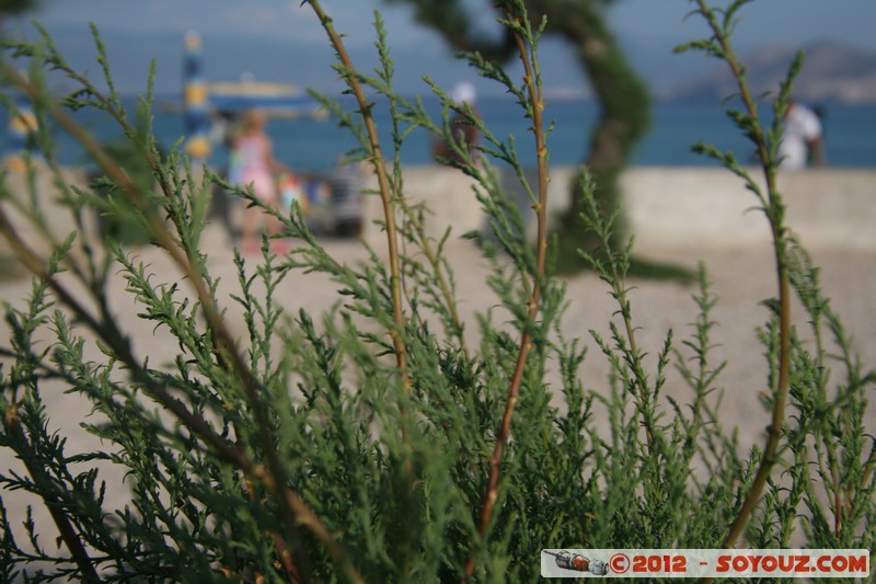 Krk - Baska
Mots-clés: BaÅ¡ka Croatie geo:lat=44.96761039 geo:lon=14.75024304 geotagged HRV Primorsko-Goranska mer plante