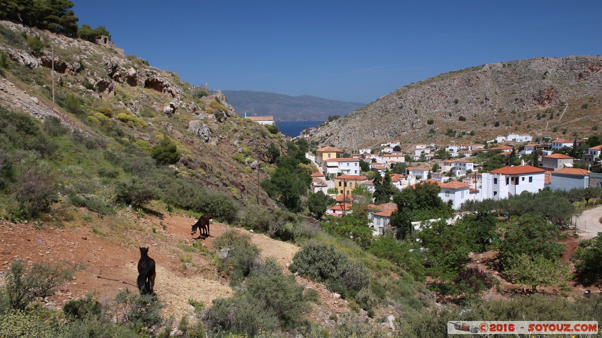 Hydra - Walk to Prophet Elias Monastery - View on the city
Mots-clés: Ermioni GRC Gr&egrave;ce dra Saronic Islands Hydra animals cheval
