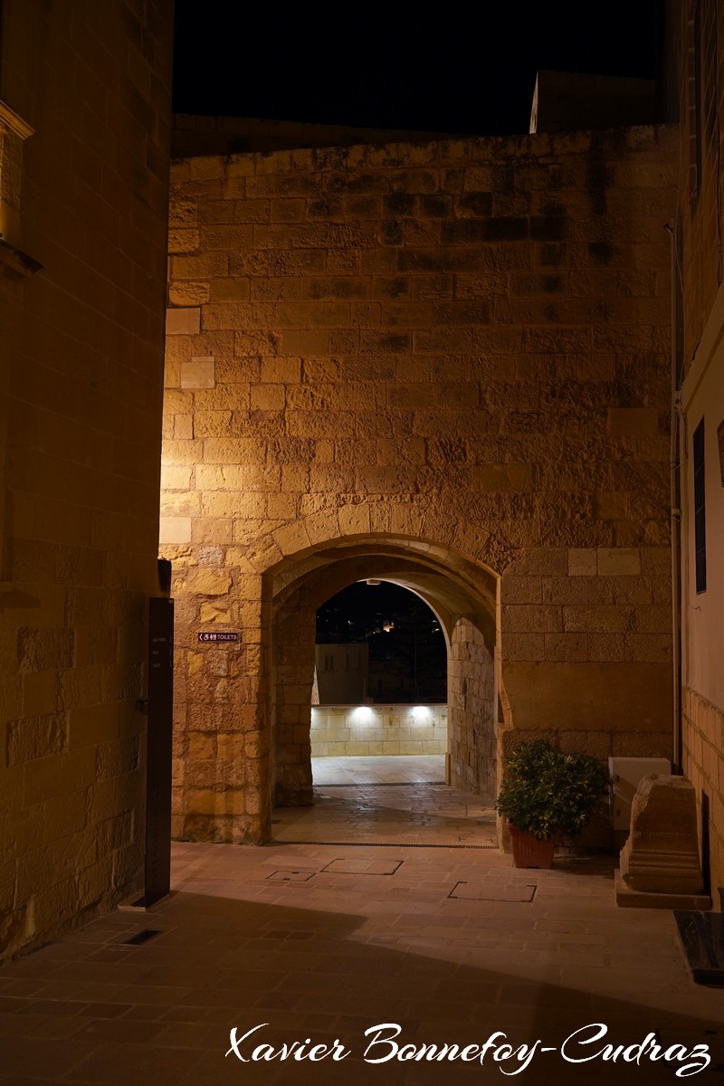 Gozo - Rabat (Victoria) - Cittadella
Mots-clés: geo:lat=36.04589370 geo:lon=14.23955396 geotagged Malte MLT Victoria Malta Gozo Rabat Nuit Cittadella