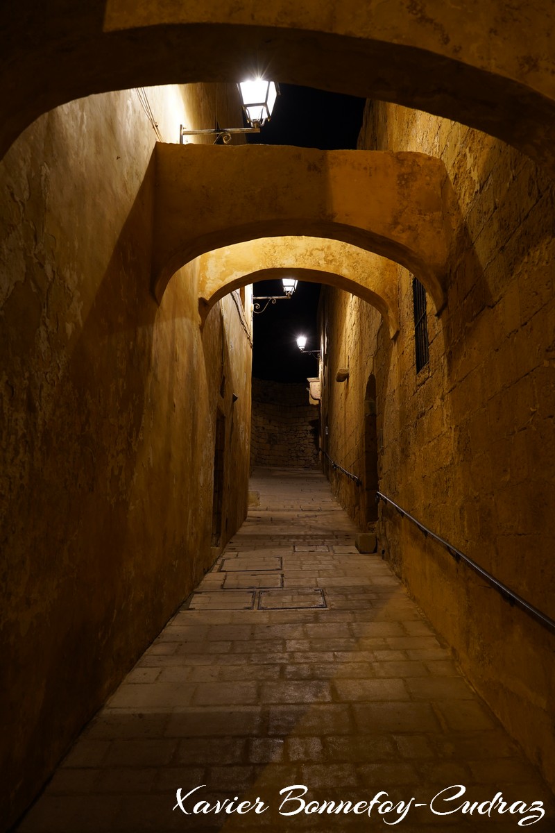 Gozo - Rabat (Victoria) - Cittadella
Mots-clés: geo:lat=36.04592840 geo:lon=14.23969880 geotagged Malte MLT Victoria Malta Gozo Rabat Nuit Cittadella