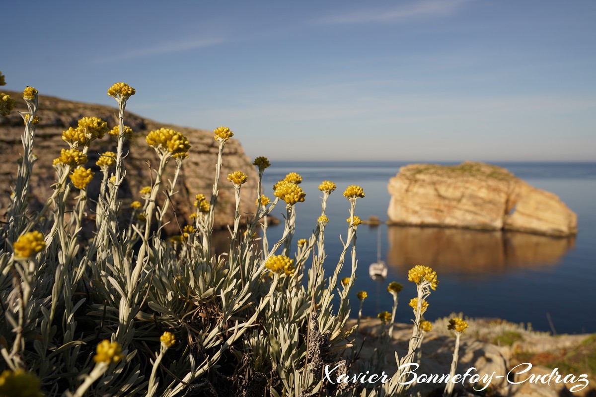 Gozo - Dwejra Bay and Fungus Rock
Mots-clés: Dwejra geo:lat=36.04862187 geo:lon=14.19220626 geotagged Malte MLT Saint Lawrence San Lawrenz Malta Gozo paysage Fungus Rock Mer Dwejra Bay fleur