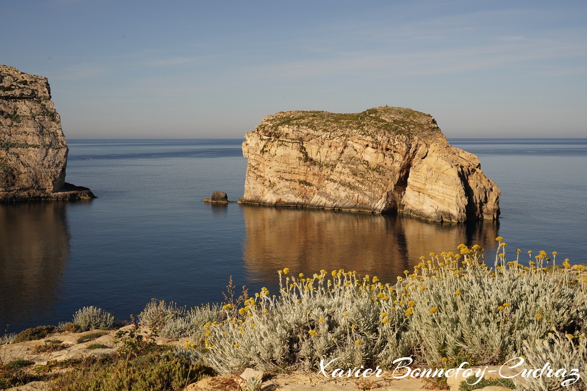 Gozo - Dwejra Bay and Fungus Rock
Mots-clés: Dwejra geo:lat=36.04870861 geo:lon=14.19121921 geotagged Malte MLT Saint Lawrence San Lawrenz Malta Gozo paysage Fungus Rock Mer Dwejra Bay