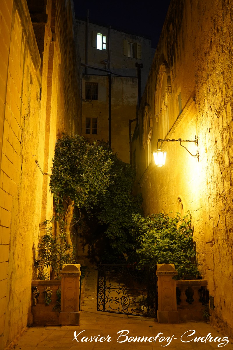 L-Imdina by Night - Triq L Imhazen
Mots-clés: geo:lat=35.88689878 geo:lon=14.40225542 geotagged L-Imdina Malte Mdina MLT Malta Nuit Triq L Imhazen