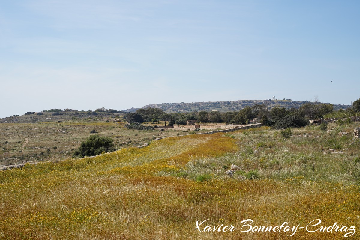 Qrendi
Mots-clés: geo:lat=35.82726930 geo:lon=14.44068074 geotagged Il-Qrendi Malte MLT Qrendi Ta&rsquo; San Niklaw Malta Southern Region