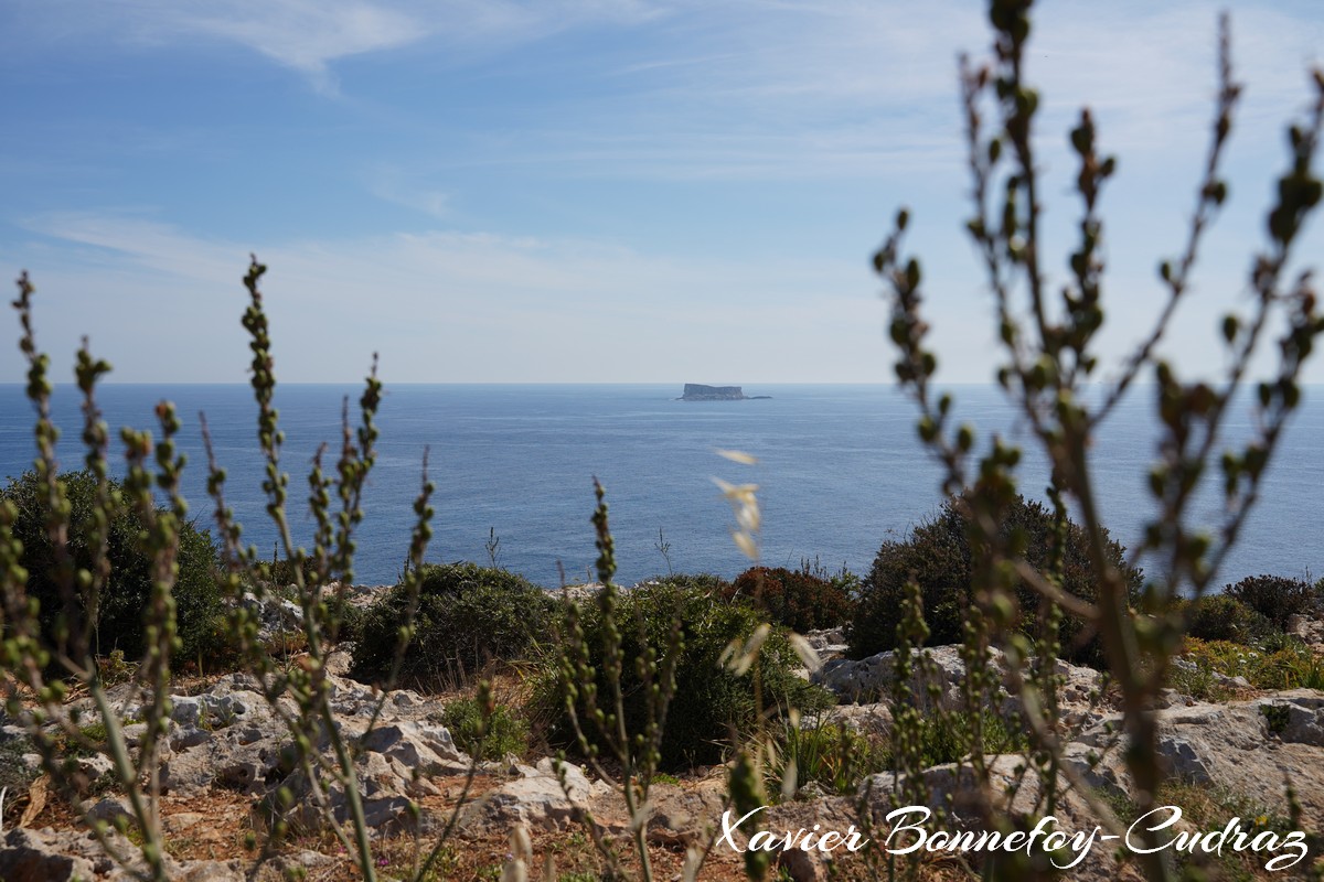 Qrendi
Mots-clés: geo:lat=35.82631786 geo:lon=14.43724081 geotagged Il-Qrendi Malte MLT Qrendi Ta&rsquo; San Niklaw Malta Southern Region Mer plante