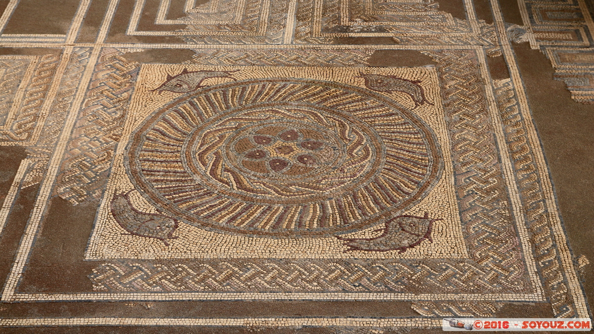 Conimbriga - Casa dos Repuchos
Mots-clés: Coimbra Condeixa-a-Velha geo:lat=40.09950680 geo:lon=-8.49307269 geotagged Portugal PRT Conimbriga Ruines Ruines romaines Mosaique Casa dos Repuchos