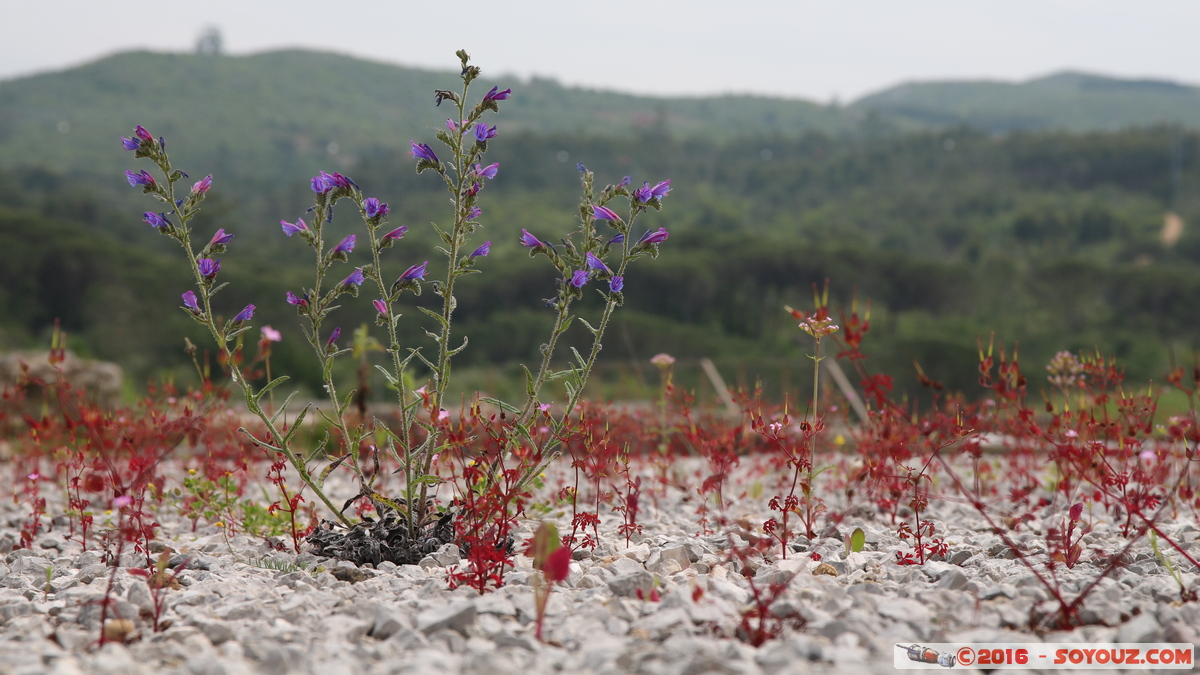 Conimbriga - Forum
Mots-clés: Coimbra Condeixa-a-Velha geo:lat=40.09884410 geo:lon=-8.49484831 geotagged Portugal PRT Conimbriga Ruines Ruines romaines
