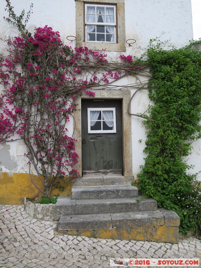 Obidos
Mots-clés: Leiria bidos Portugal PRT Cidade murada fleur