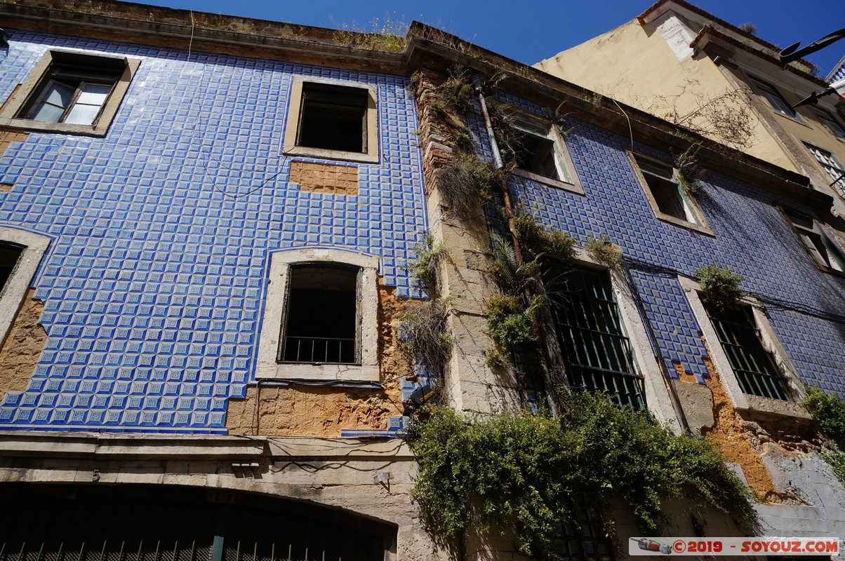 Lisboa - Alfama
Mots-clés: Alfama geo:lat=38.70938500 geo:lon=-9.13092061 geotagged Lisboa Portugal PRT Azulejos