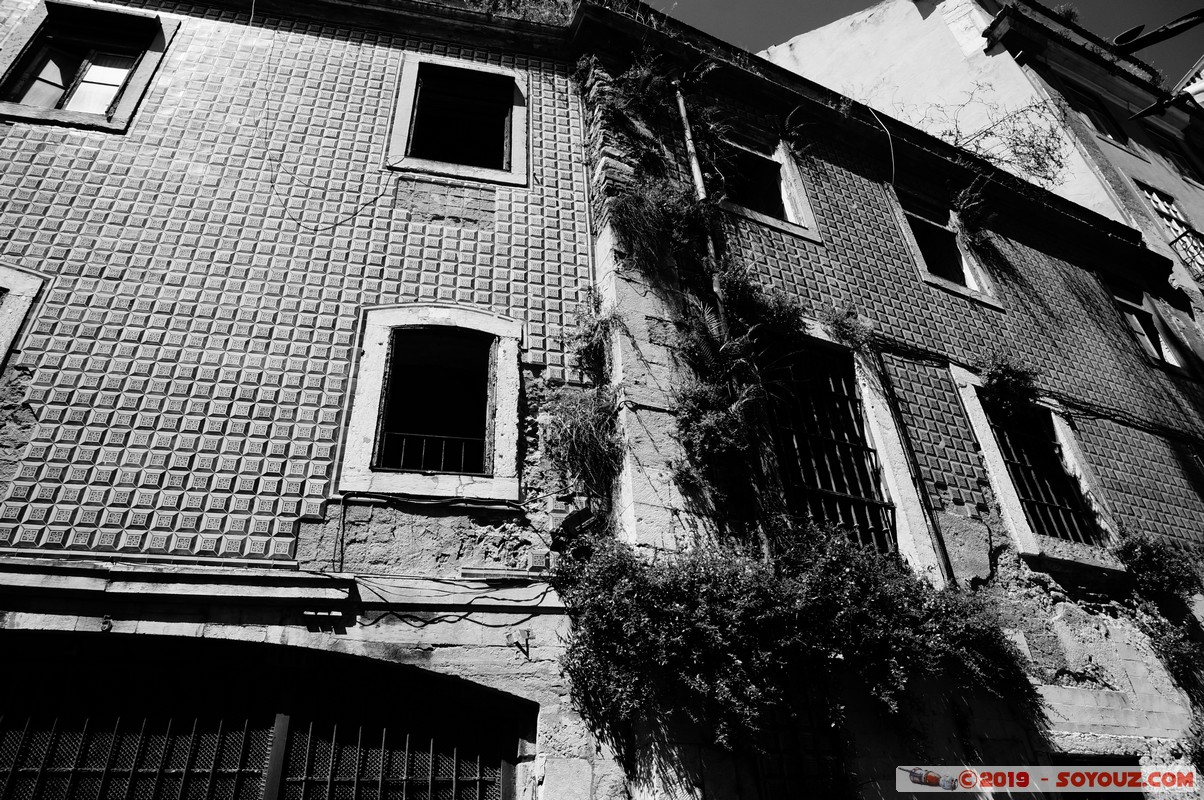 Lisboa - Alfama
Mots-clés: Alfama geo:lat=38.70939333 geo:lon=-9.13091667 geotagged Lisboa Portugal PRT Azulejos