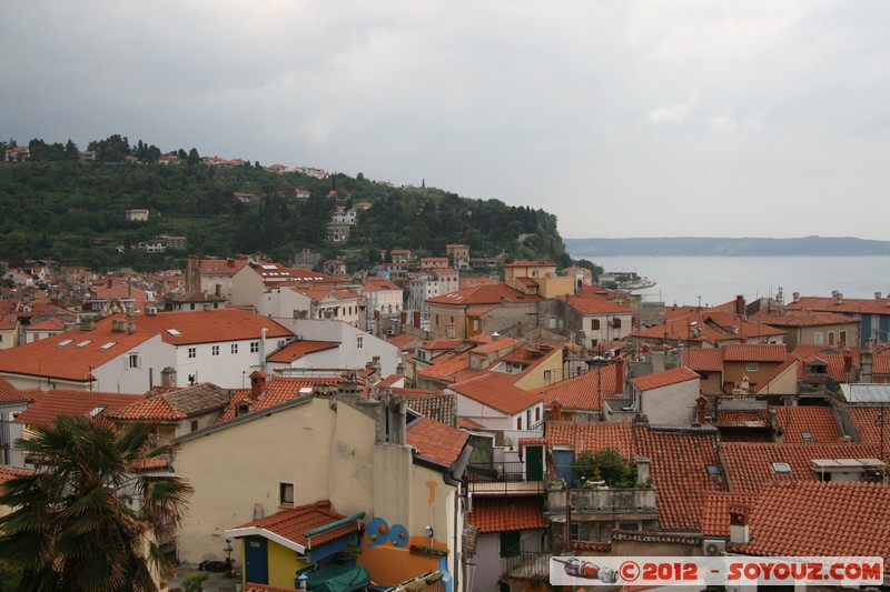 Piran
Mots-clés: geo:lat=45.52982825 geo:lon=13.56753581 geotagged Izola/Isola Piran SlovÃ¨nie SVN Slovenie mer