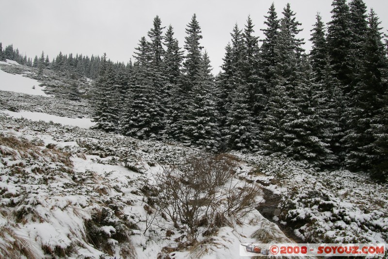 Mont Vitosha
Mots-clés: Neige