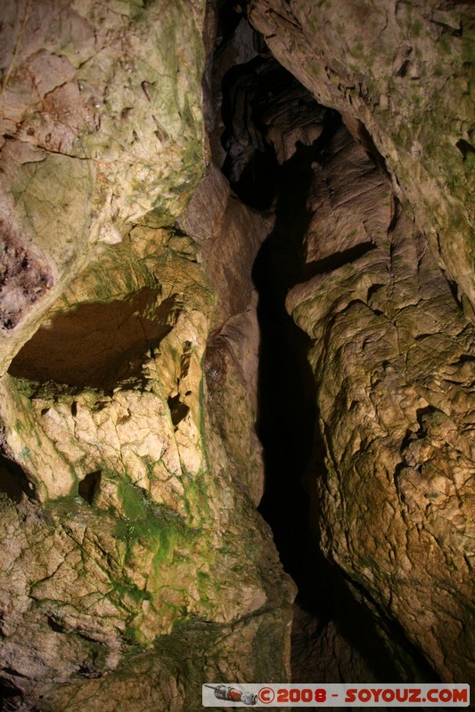 Dryanovo - Bacho Kiro Cave
Mots-clés: grotte