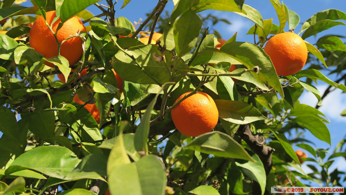 Cordoba by Night - Mezquita-Catedral - Patio de los Naranjos
Mots-clés: Andalucia C&oacute;rdoba ESP Espagne Terrenos Del Castillo (Cordoba) Mezquita-Catedral Eglise Mosque patrimoine unesco Orange Patio de los Naranjos
