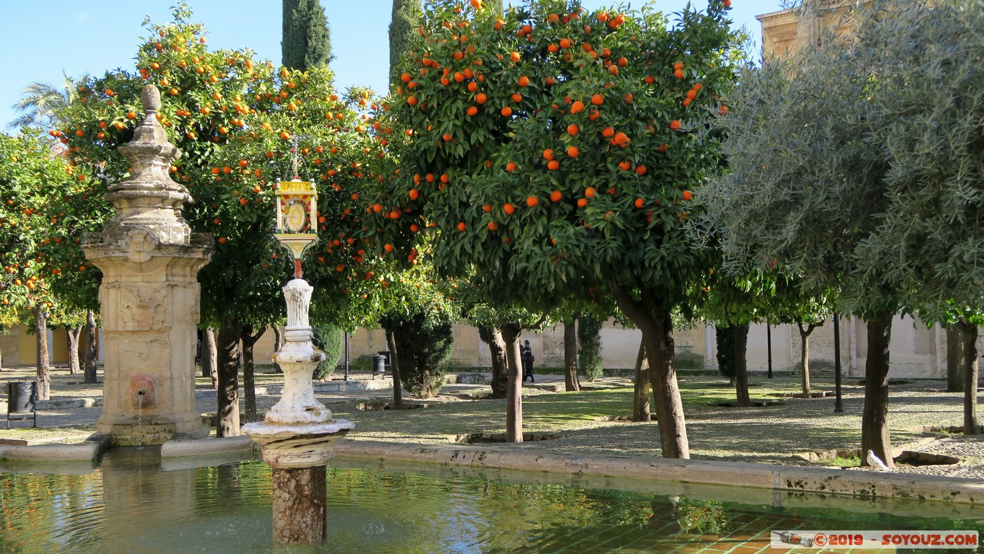 Cordoba by Night - Mezquita-Catedral - Patio de los Naranjos
Mots-clés: Andalucia C&oacute;rdoba ESP Espagne Terrenos Del Castillo (Cordoba) Mezquita-Catedral Eglise Mosque patrimoine unesco Patio de los Naranjos