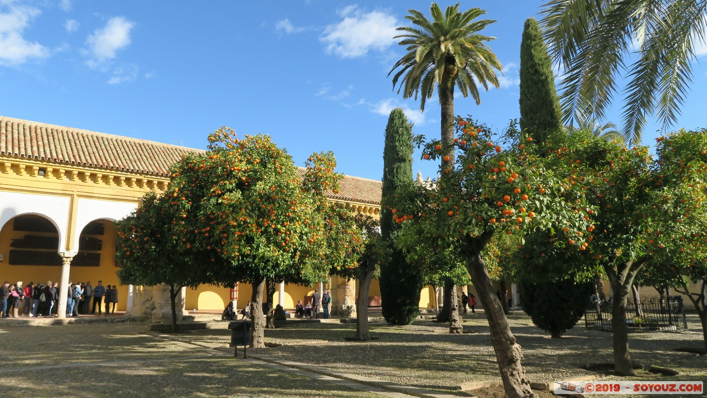 Cordoba by Night - Mezquita-Catedral - Patio de los Naranjos
Mots-clés: Andalucia C&oacute;rdoba ESP Espagne Terrenos Del Castillo (Cordoba) Mezquita-Catedral Eglise Mosque patrimoine unesco Patio de los Naranjos