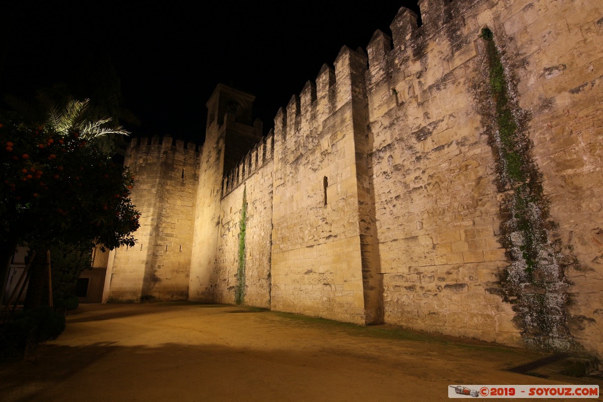 Cordoba by Night - Alcazar de los Reyes Cristianos
Mots-clés: Andalucia C&oacute;rdoba ESP Espagne Terrenos Del Castillo (Cordoba) Nuit Alcazar de los Reyes Cristianos