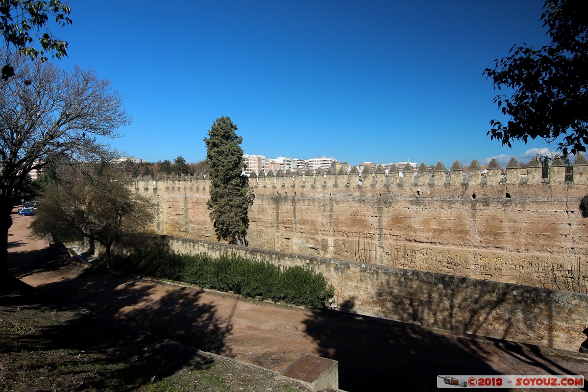 Cordoba
Mots-clés: Alameda del Obispo Andalucia ESP Espagne Pitas, Las (Cordoba)
