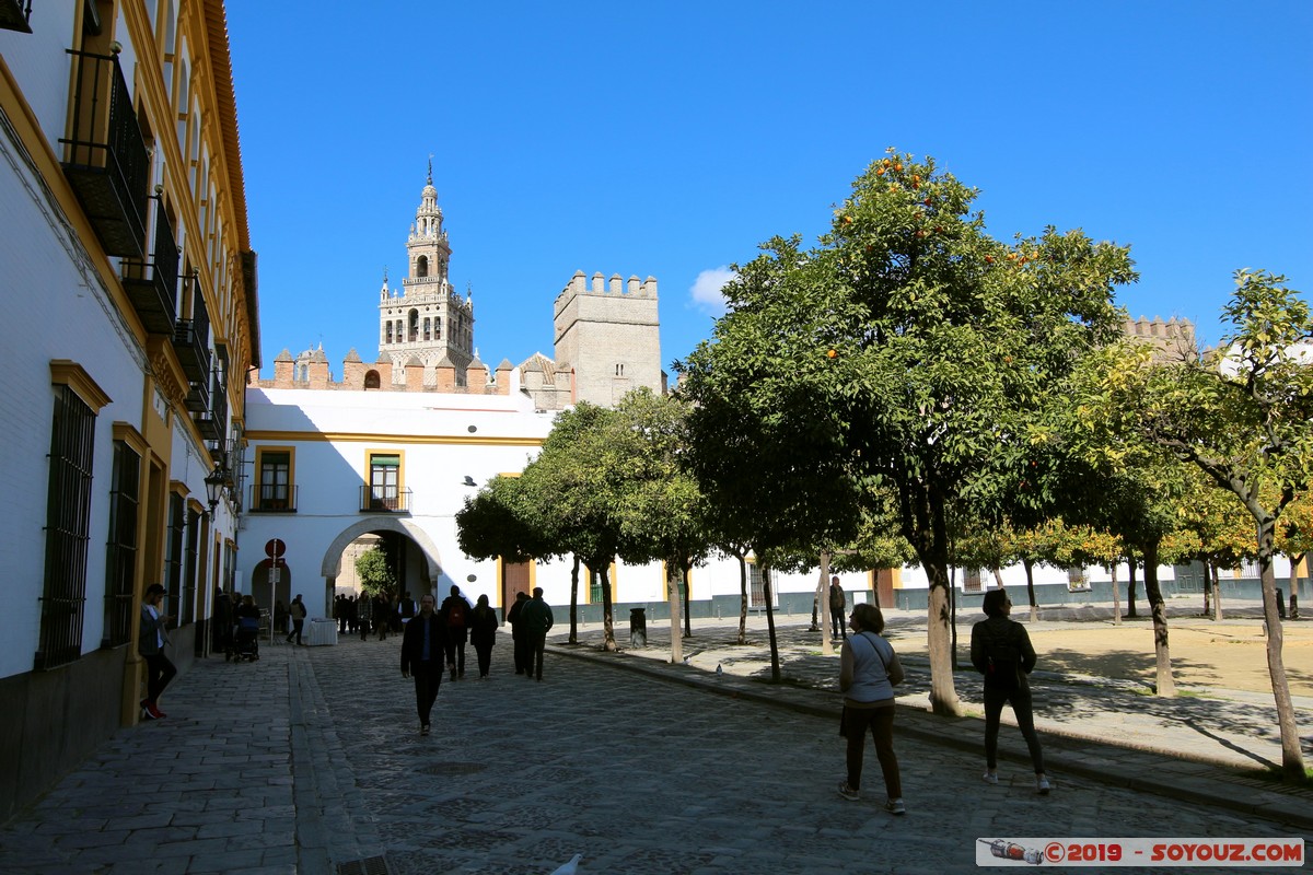 Sevilla - Real Alcazar - Patio de Banderas
Mots-clés: Andalucia ESP Espagne Sevilla Triana Real Alcazar chateau patrimoine unesco Patio de Banderas