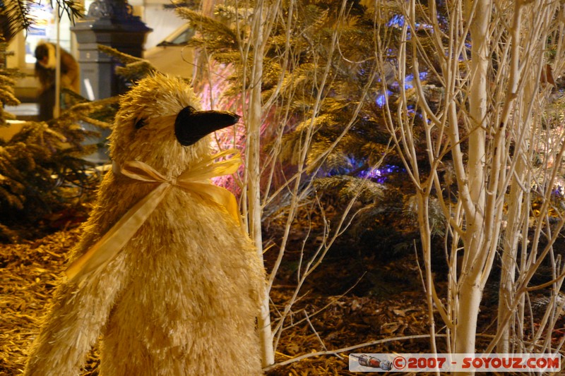 Molsheim - Decorations de Noel
Place de l'Hotel de Ville, 67120 Molsheim, France
Mots-clés: Nuit