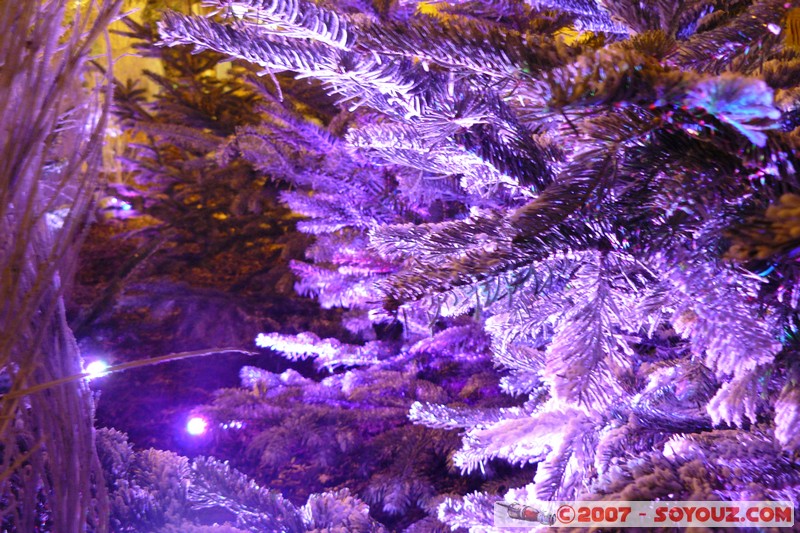 Molsheim - Decorations de Noel
Place de l'Hotel de Ville, 67120 Molsheim, France
Mots-clés: Nuit