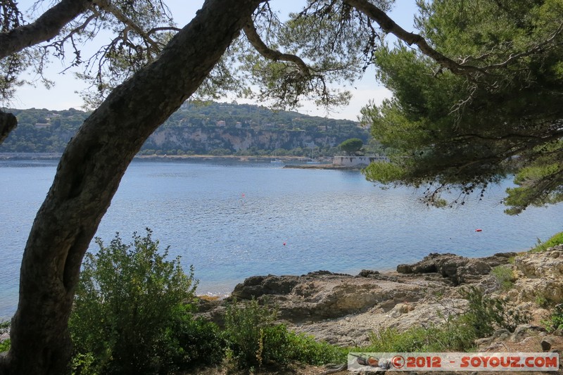 Saint-Jean-Cap-Ferrat - Promenade Pointe St Hospice
Mots-clés: FRA France geo:lat=43.68367042 geo:lon=7.34163523 geotagged Provence-Alpes-CÃ´te d'Azur Saint-Jean-Cap-Ferrat mer