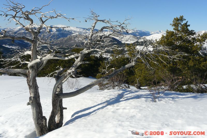 col de Bleine - Pic de l'Aiglo
Mots-clés: Neige Arbres