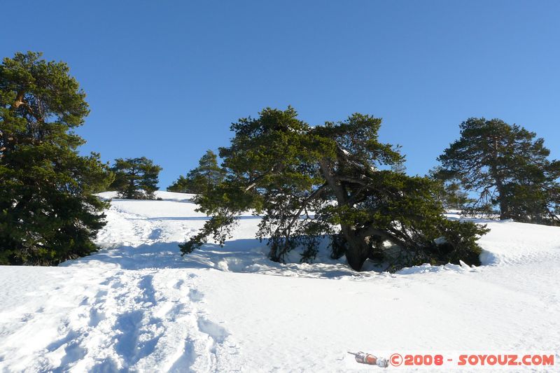 col de Bleine - Pic de l'Aiglo
Mots-clés: Neige